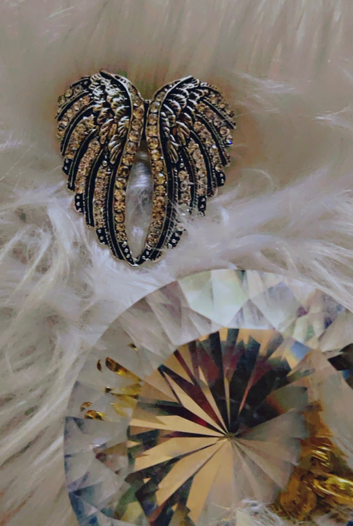 ✨ Soar in Style: Silver Wings Brooch ✨🪽 💕🐊